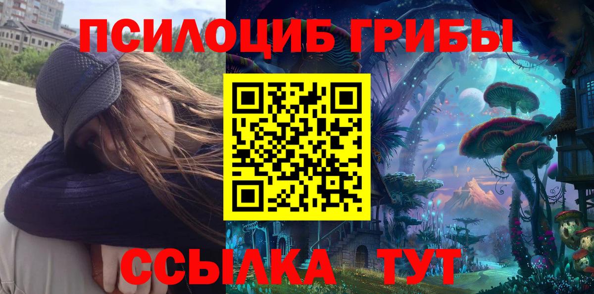Курчалой  Галлюциногенные грибы Cubensis  Вход с VPN 